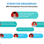Struktur Organisasi BPK GTO (1)